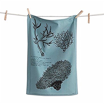 Beachcomber Dishtowel Teal Sea Life