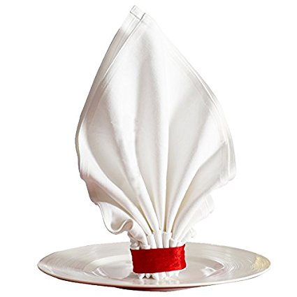 sexyrobot Dinner Napkins 100% Cotton Thicken White Napkins 20x20 Soft Lint-free Durable Hotel Quality for Events Wedding Home Use (10PCS)